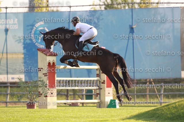 PORRO_COLOMBEA_GIO CAV 2011_SS3_7883.jpg